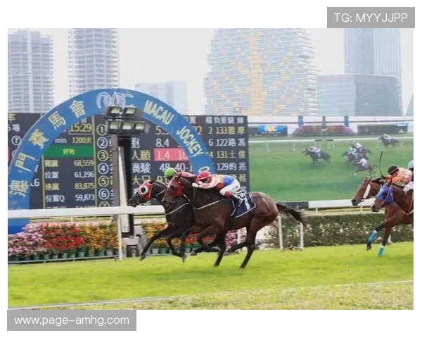 澳门赛马今天的赛马比赛时间安排与精彩看点解析