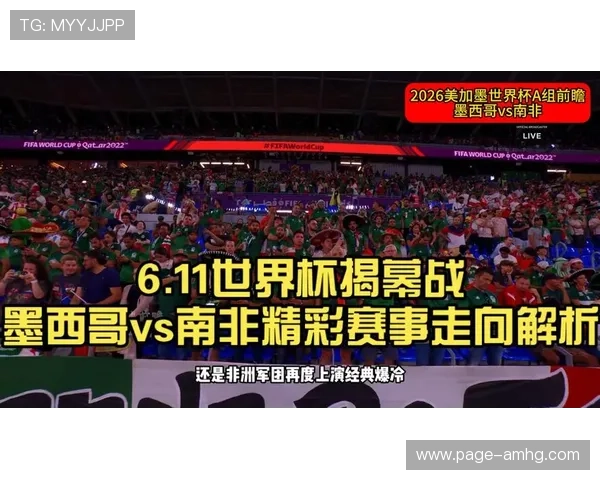 墨西哥对南非全场回放精彩瞬间回顾与比赛亮点分析